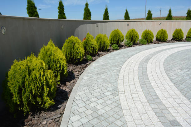 Best Decorative Driveway Pavers  in Lake Mohawk, NJ